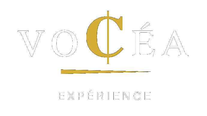Vocea experience
